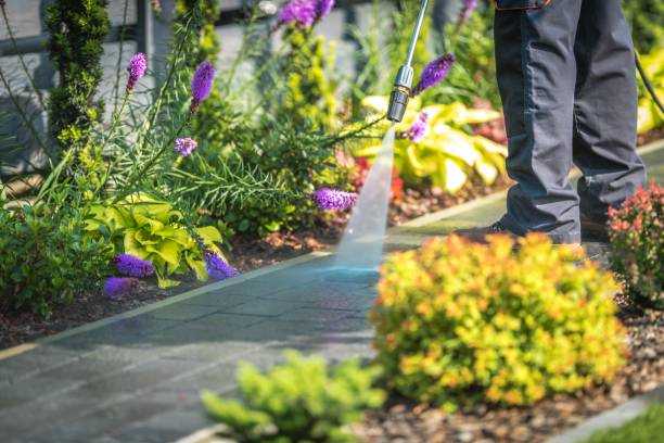 Best Concrete Surface Cleaning in Clayton, IN